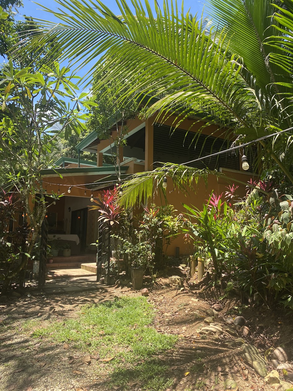 Our home entrance nestled among tropical plants