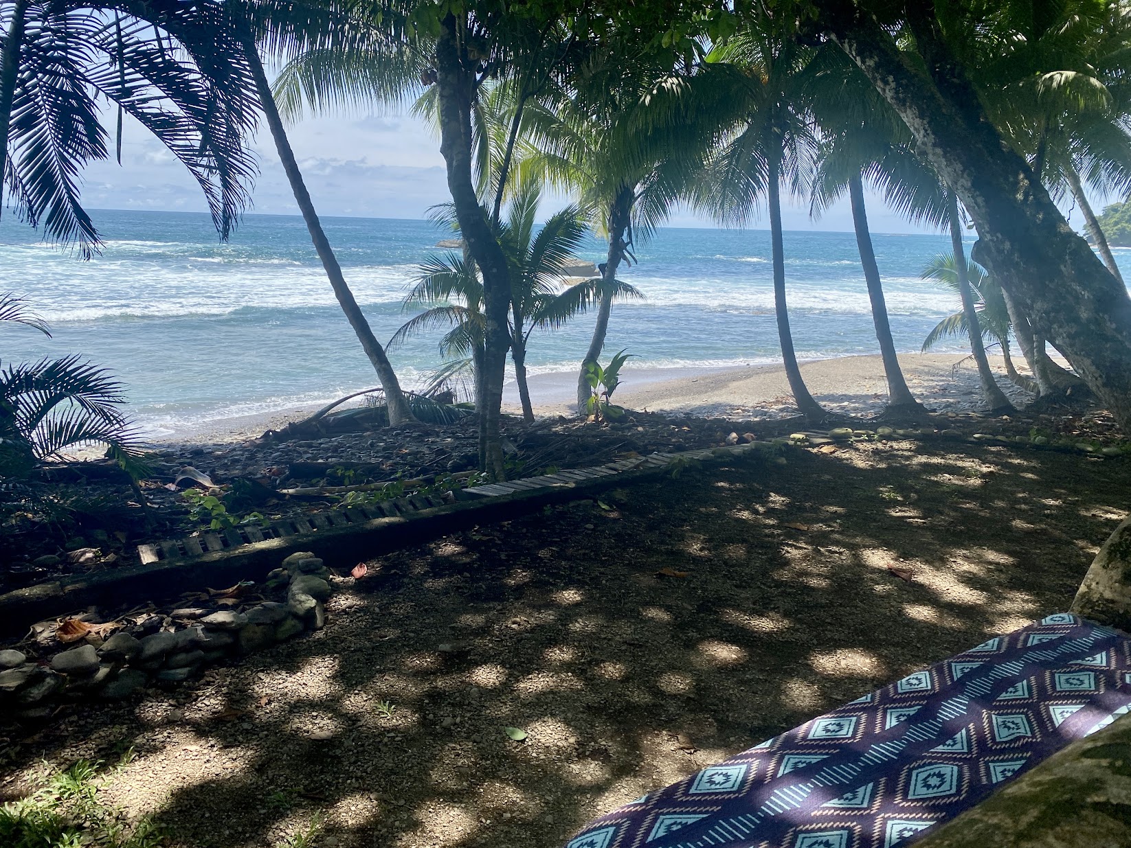 Shaded sitting area beneath the palms overlooking the Pacific