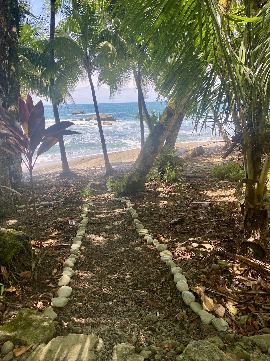 The short stone-edged path from our home to the beach