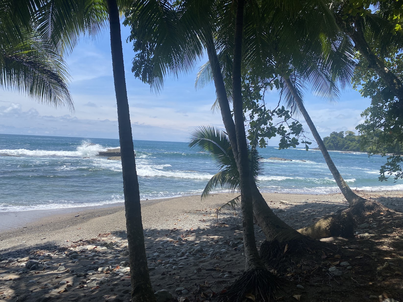Pacific waves and coconut palms on the beach steps from Selvana
